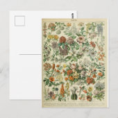 Woordenboek bloemen briefkaart (Voorkant / Achterkant)