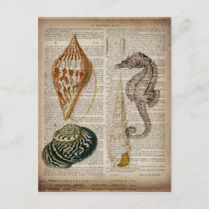 woordenboek frans  land seashell briefkaart