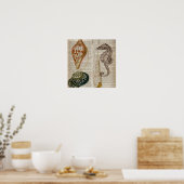 woordenboek frans  land seashell poster (Keuken)