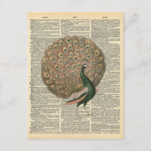 woordenboek Kunst prachtige voetgangersvogel Briefkaart