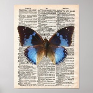  woordenboekpagina en blauwe vlinder poster
