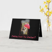 "Word" de Hond, goed de Regen & de Paraplu van de Kaart (Gele Bloem)