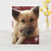 Word goed Doggy Kaart (Gele Bloem)