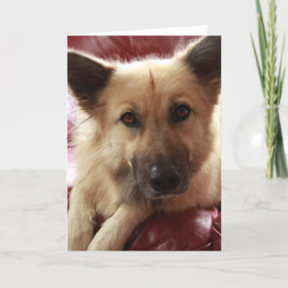 Word goed Doggy Kaart