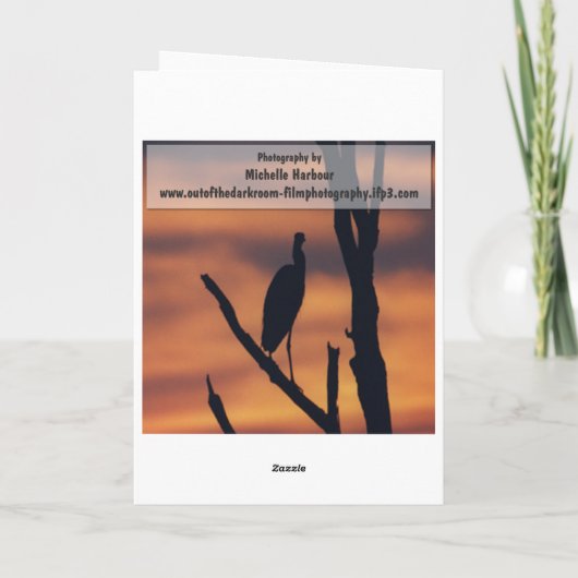 Word goed - het Wenskaart van Gerber Daisy Kaart (Achterkant)