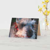 Word goed spoedig, Hoopvol Kaart (Gele Bloem)