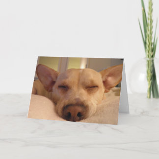 WORD GOED SPOEDIG KAART