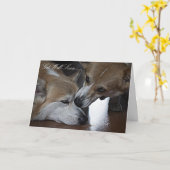 Word goed spoedig Wenskaart Kaart (Gele Bloem)