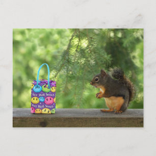 Word nou eekhoorn briefkaart