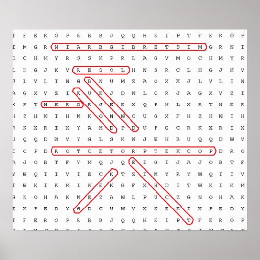 Word Search Geek Poster (Voorkant)
