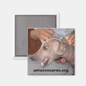 Word snel beter! Magneet (Voorkant / Achterkant)