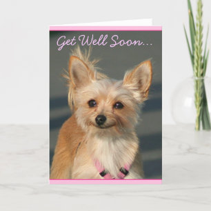 Word snel gezond Chihuahua wenskaart Kaart