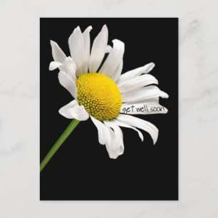 Word snel gezond Daisy Briefkaart