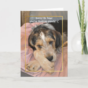 Word snel gezond hond kaart