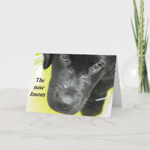 Word snel gezond Puppy Wenskaart Kaart