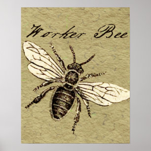 Worker Bee Insect Illustration Poster