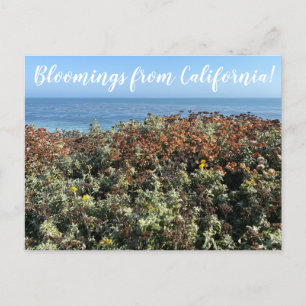 World2Celebrate: Bloomings uit Californië! Briefkaart