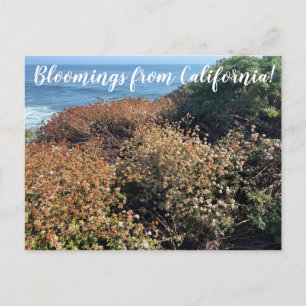 World2Celebrate: Bloomings uit Californië! Briefkaart