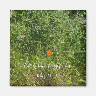 World2Celebrate : California Poppy Week Magnet