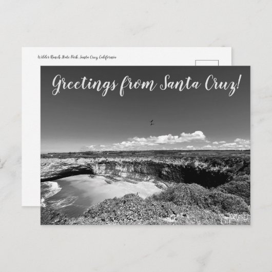 World2Celebrate: Groeten uit Santa Cruz! Briefkaart (Voorkant / Achterkant)