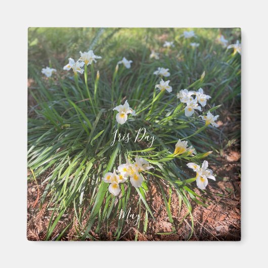 World2Celebrate : Iris Day Magnet (Devant)