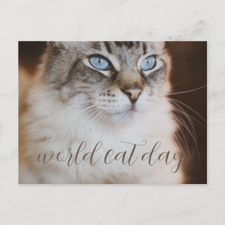 world Cat Day Postcard Briefkaart