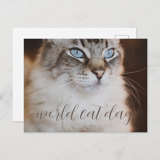world Cat Day Postcard Briefkaart (Voorkant / Achterkant)