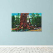 World Famous Tree House, Lilley Redwood Park Canvas Afdruk (Insitu (Houten vloer))