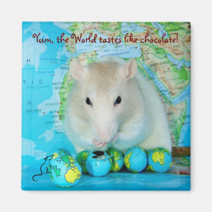 World Rat Day magnet Magneet