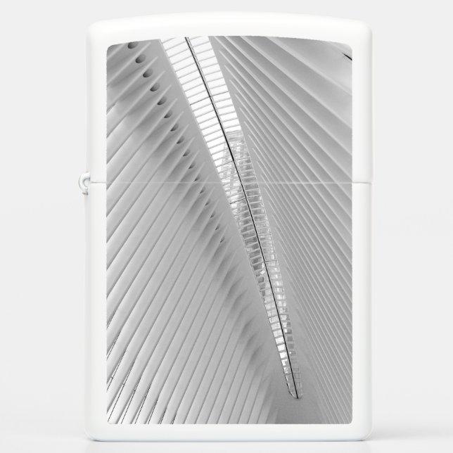 World Trade Center TransportHub, NY (Voorkant)