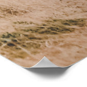 WORLD WILDLIFE DAY POSTER (Hoek)