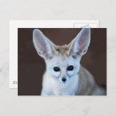 Worlds Cutest Fennec Fox Briefkaart (Voorkant / Achterkant)