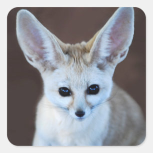 Worlds Cutest Fennec Fox Vierkante Sticker