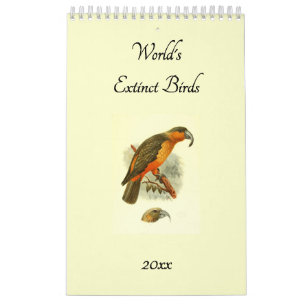 Worlds Extinct Birds Art Birders 2025 Muur Kalender