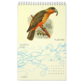 Worlds Extinct Birds  Art Birders 2026 Muur Kalender (Jan 2026)