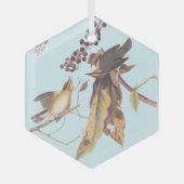 Worm-Eating Warbler Audubon-zongvogel Glas Ornament (Voorkant)