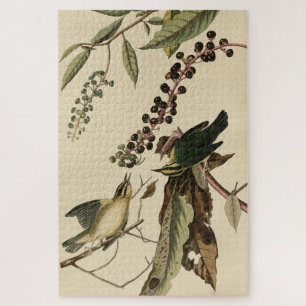 Worm-etende Warbler - Amerikaanse vogels van Audub Legpuzzel