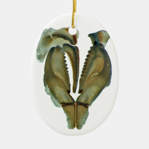 Worm Jaw Oval kerstversiering Keramisch Ornament