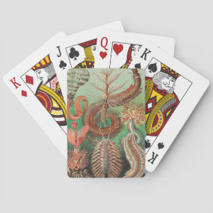 Wormen, Annelids Chaetopoda door Ernst Haeckel Pokerkaarten