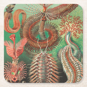 Wormen, Annelids Chaetopoda door Ernst Haeckel Vierkante Kartonnen Onderzetter