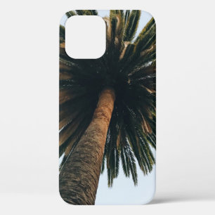 Wormoogfotografie van palmboom iPhone 12 hoesje