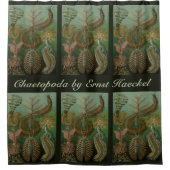  Worms Annelids Chaetopoda door Ernst Haeckel Douchegordijn (Voorkant)