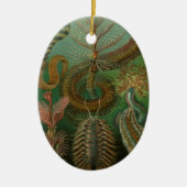 Worms Annelids Chaetopoda door Ernst Haeckel Keramisch Ornament (Voorkant)