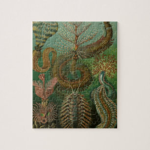  Worms Annelids Chaetopoda door Ernst Haeckel Legpuzzel