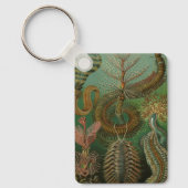 Worms Annelids Chaetopoda door Ernst Haeckel Sleutelhanger (Voorkant)