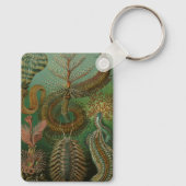 Worms Annelids Chaetopoda door Ernst Haeckel Sleutelhanger (Achterkant)