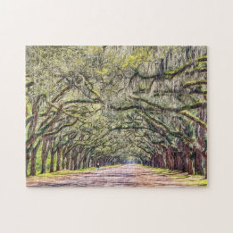 Wormsloe Savannah Oaks Challenging Souvenir Puzzle