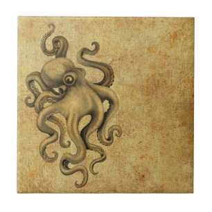 Worn Octopus Illustratie Tegeltje