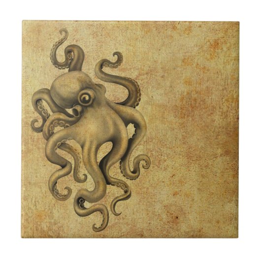 Worn  Octopus Illustratie Tegeltje (Voorkant)