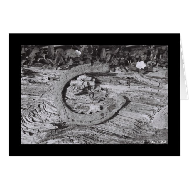 Worn Out Luck (Voorkant Horizontaal)